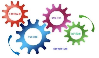 可持续发展
