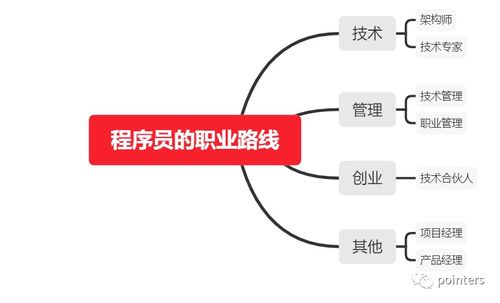 技术总监7年经验 论程序员的职业发展路线