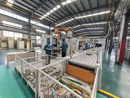 厚植绿色发展根基 激发绿色循环新活力
