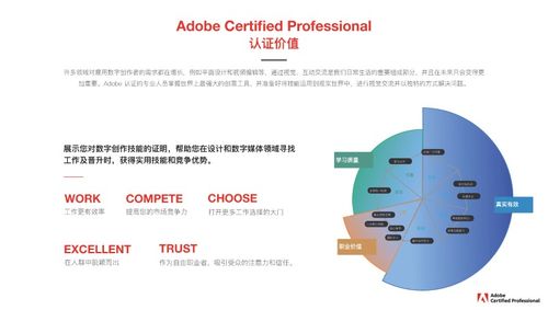 adobe 加速 创意人士开启设计新篇章