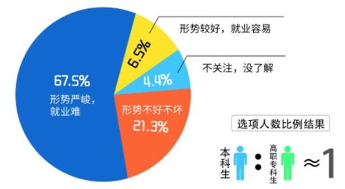 铁饭碗 变 玻璃碗 这3个岗位被踢出编制,大学生要注意