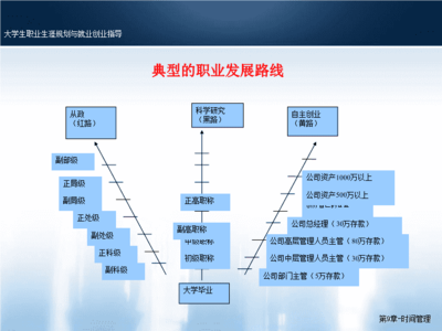 职业生涯规划管理 实现职业发展的路径与策略