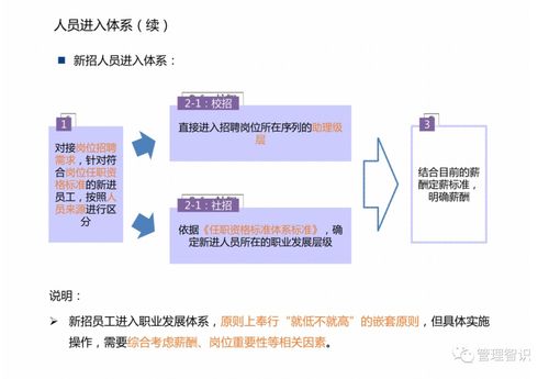 资产管理公司职业发展体系解析